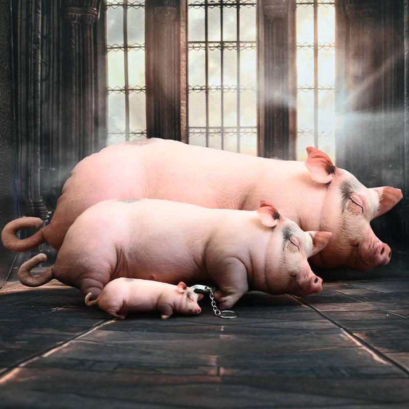 Kawaii Realistic Sleeping Pig  - огляд і ціна Home Office With Sofa