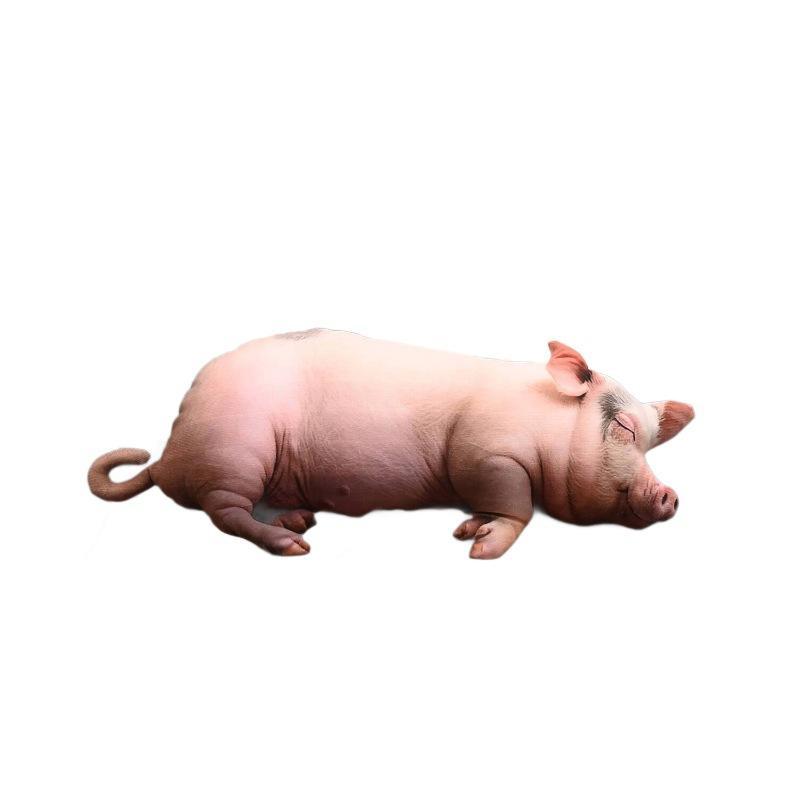 Kawaii Realistic Sleeping Pig  - огляд і ціна Home Office With Sofa
